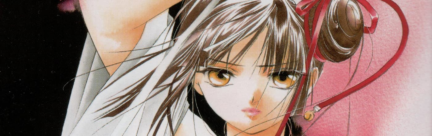 吸血姫美夕 (TV)