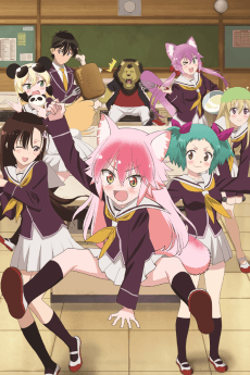 群れなせ!シートン学園